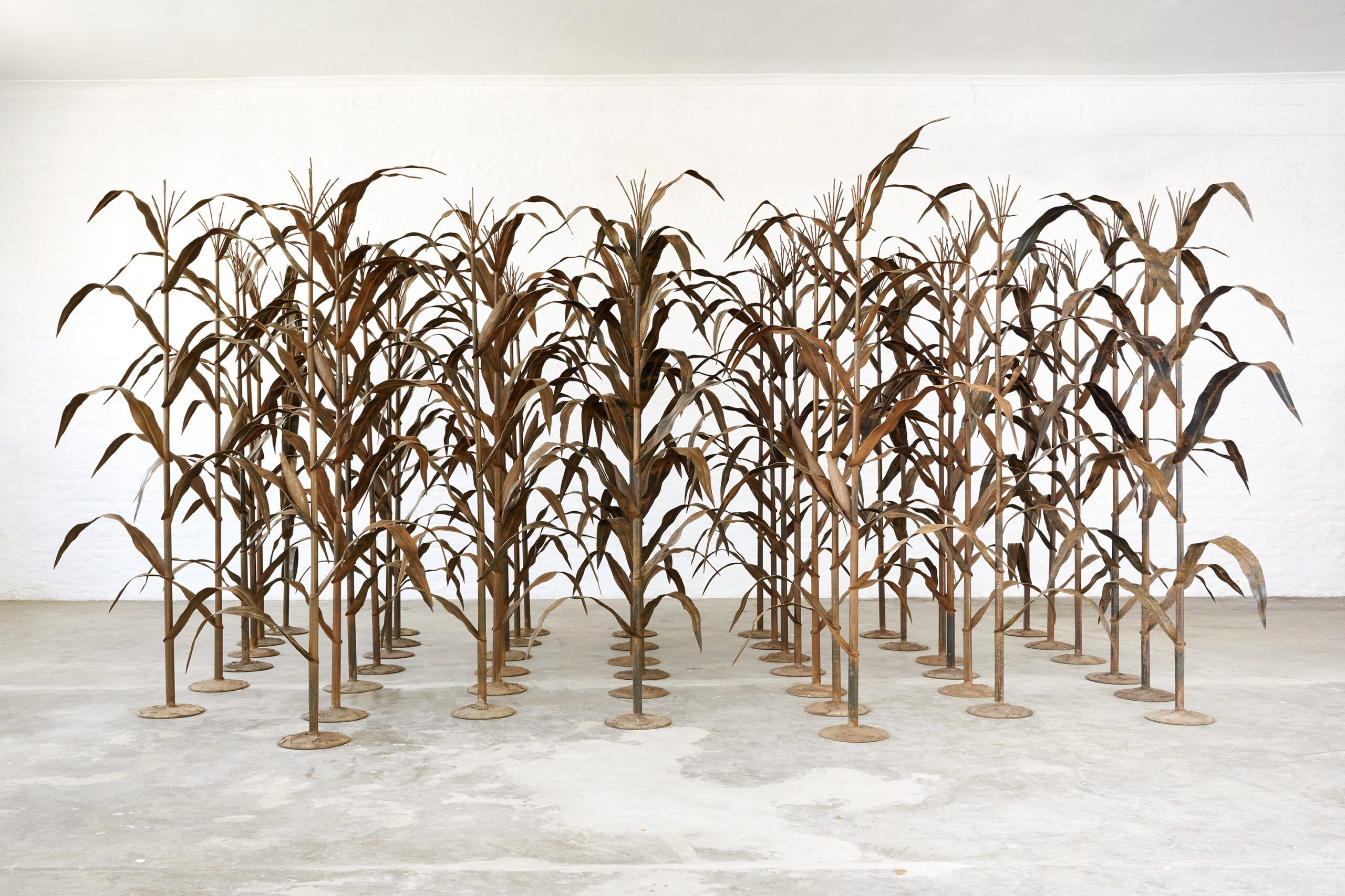 Art Fair Success and the Laws of the Market - Contemporary And
