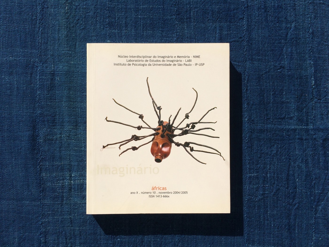 Book Cover of Imagination Review. Photo: Luciane Ramos Silva