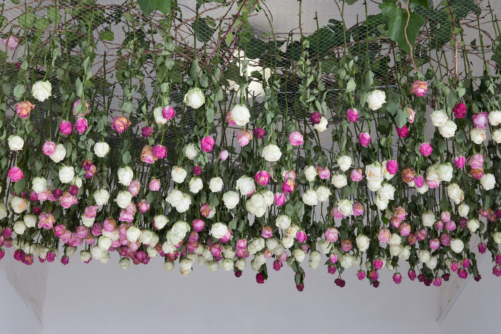 Old Buildings. New Conversations. - Contemporary And