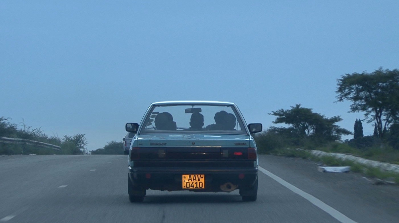 Lucia Nhamo, Portrait of a Decade: Zimbabwe 1999-2009, 2011. Video still. HD video. Courtesy of the artist