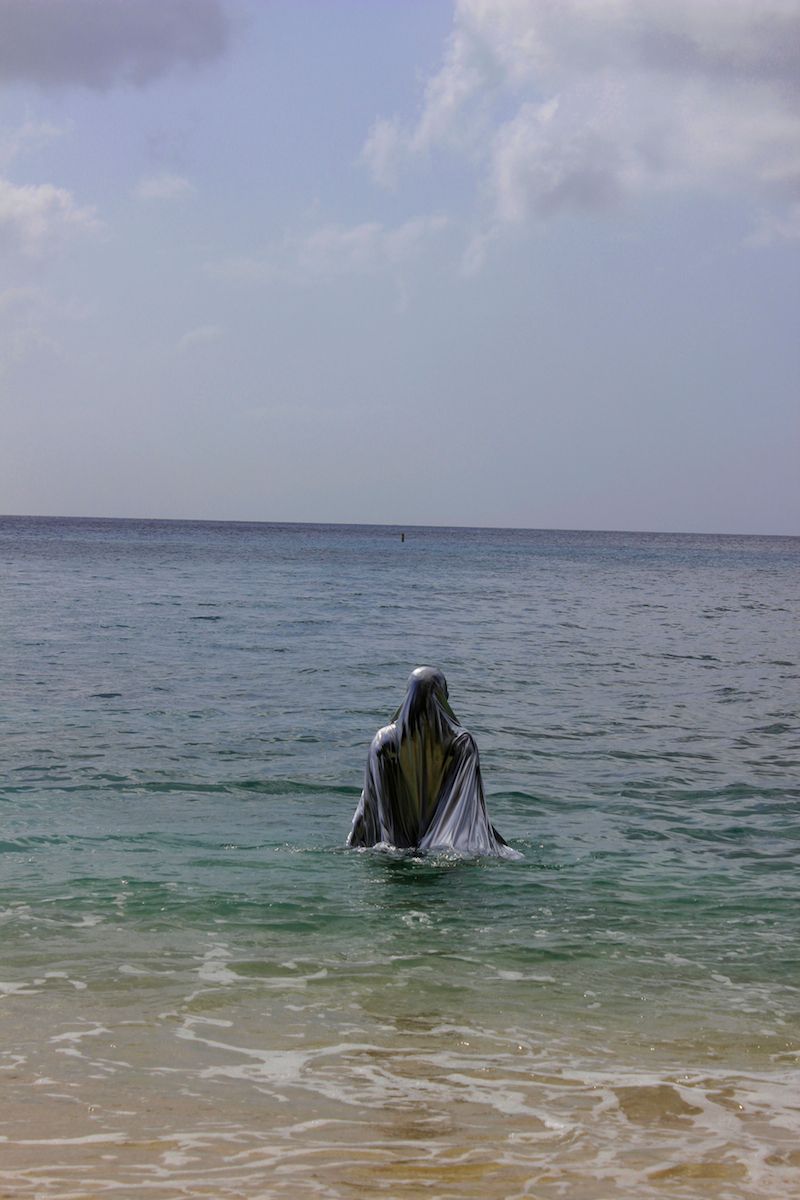 Alberta Whittle, Studies in Welcome V, 2015. Photograph. Photo: Nick Whittle. Courtesy of the artist