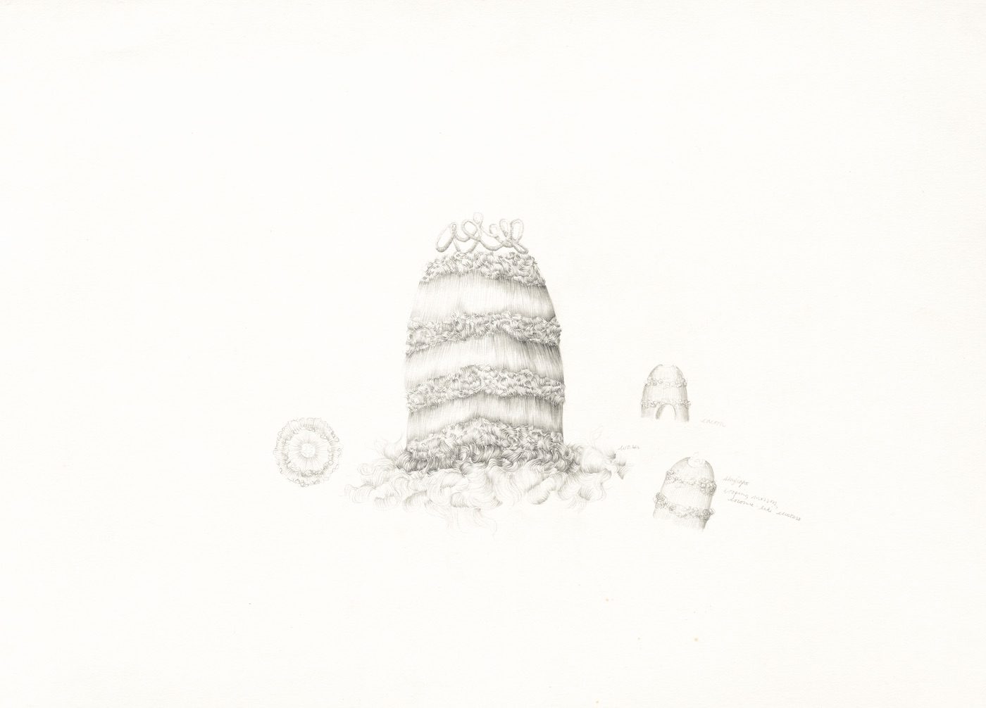 Temitayo Ogunbiyi: Capillarité