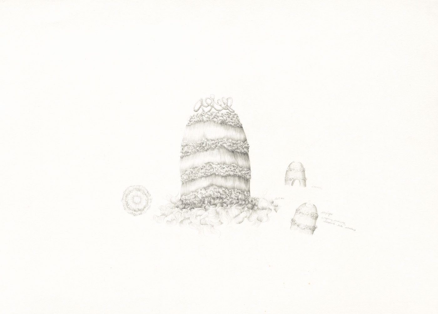 Temitayo Ogunbiyi: Capillarité