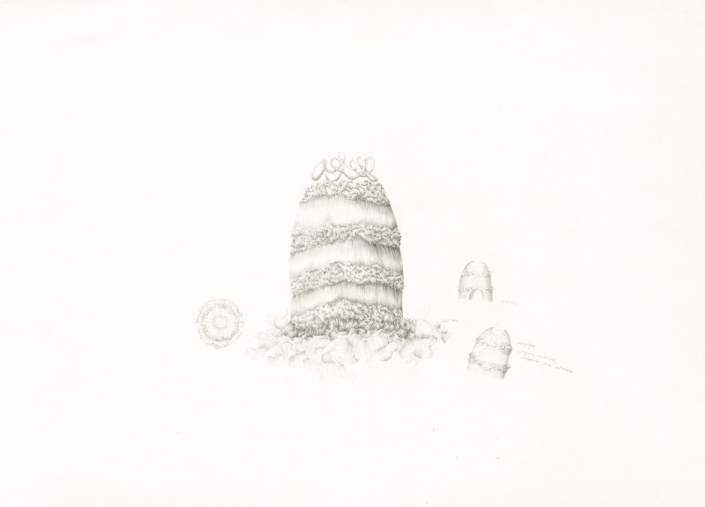 Temitayo Ogunbiyi: Capillarité