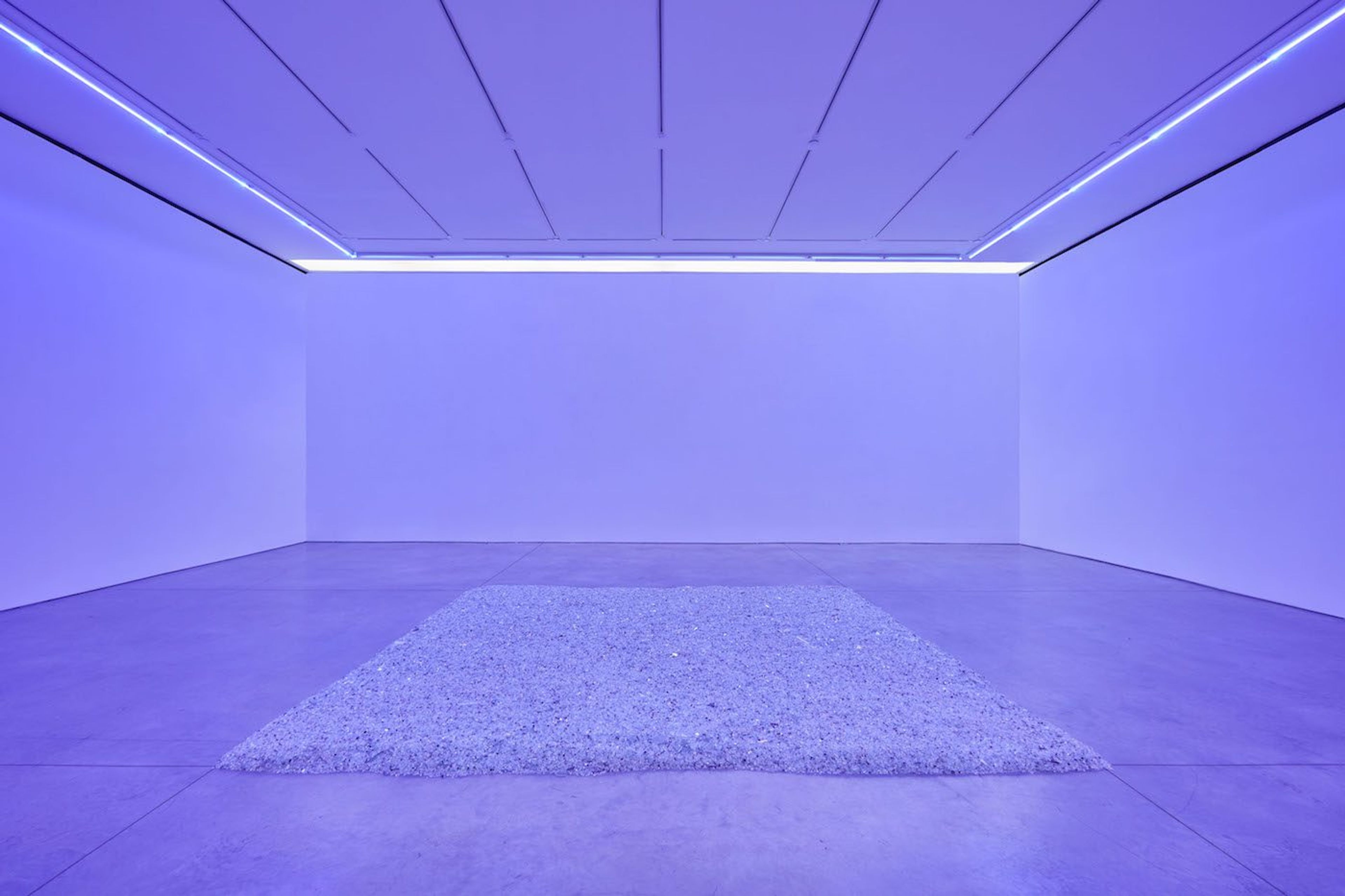 Paul Stephen Benjamin: Pure, Very, New