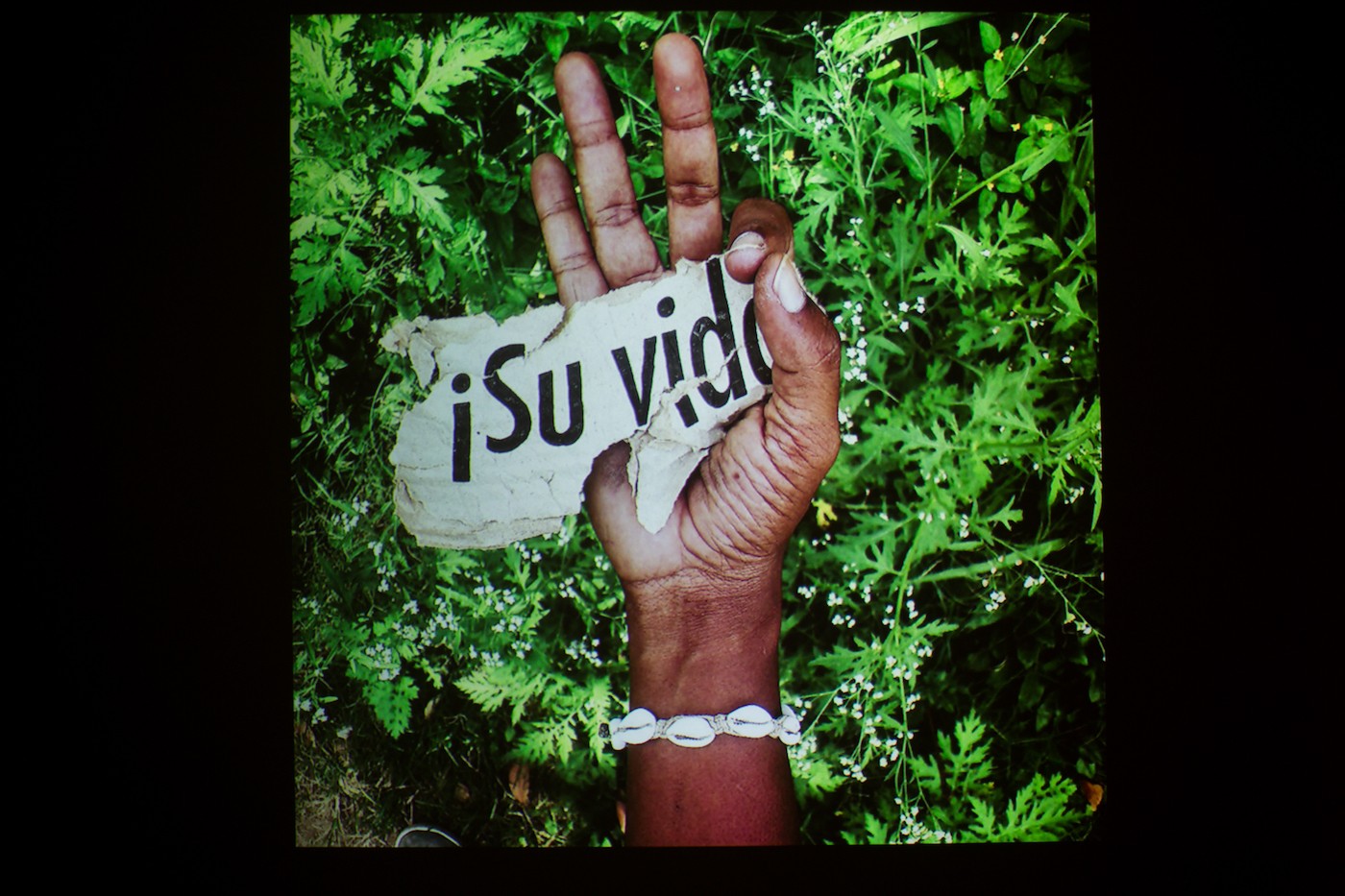 Moisés Patrício, Aceita?, Exhibition Somos todxs negrxs?, Videobrasil, São Paulo, 2017.