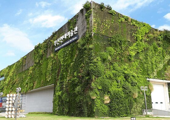 Artistic Director for Busan Biennale 2022