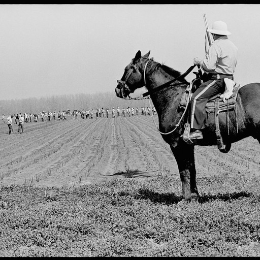 Transcorporeidade: autorrepresentação e encarnação do divino