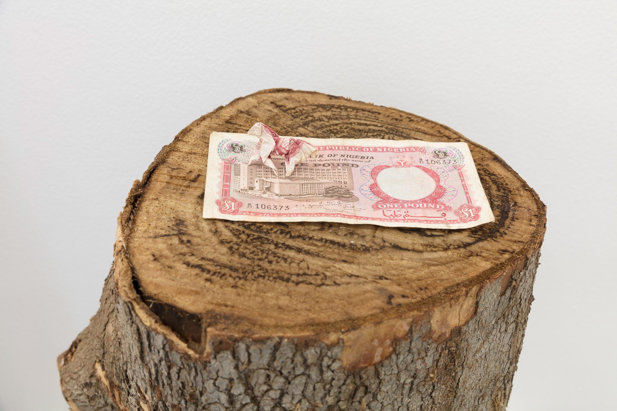 Paulo Nazareth: Phambi Kwendlovu