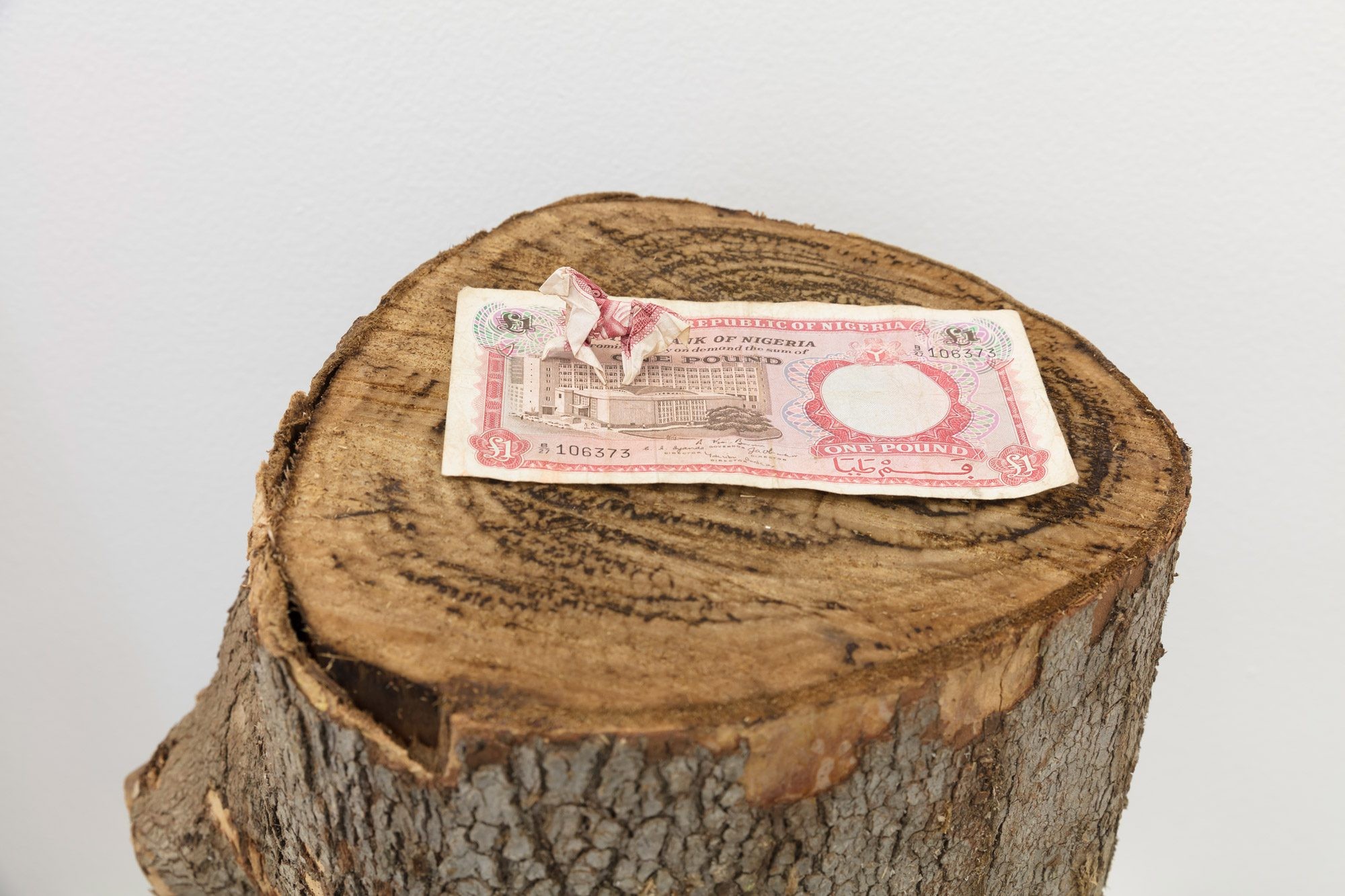 Paulo Nazareth: Phambi Kwendlovu