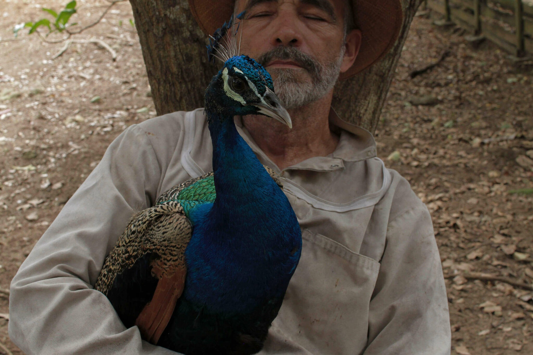 Beatriz Santiago Muñoz. Nuevos materiales