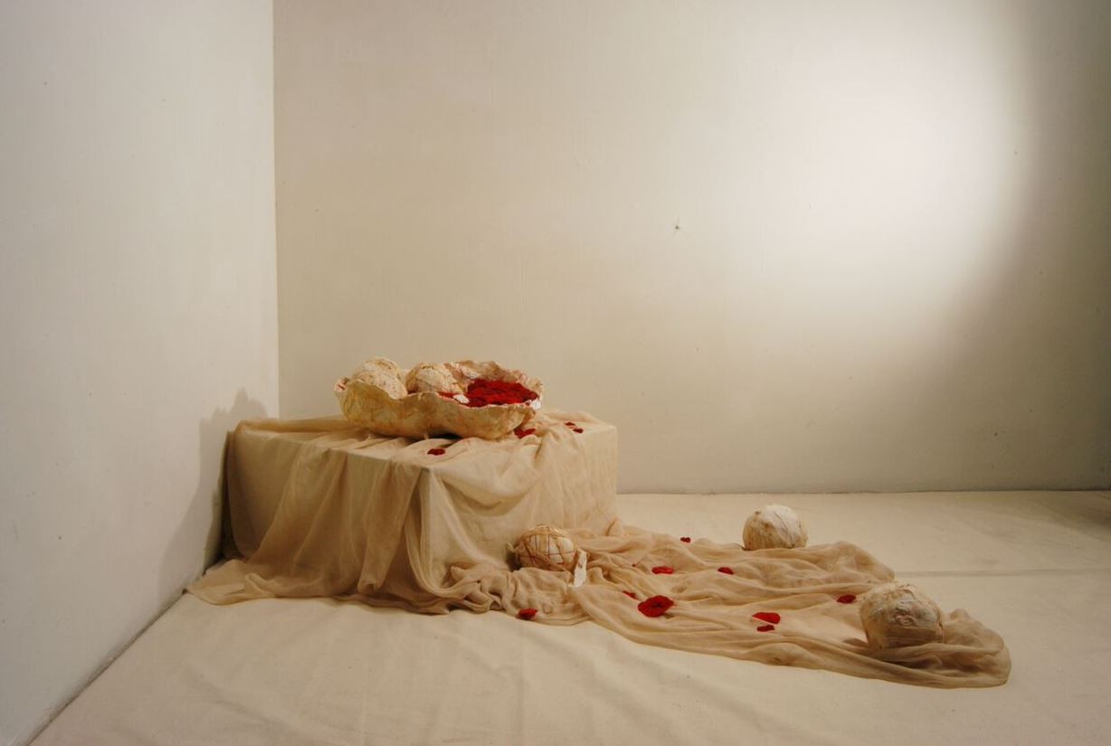 Fiberactive Germination