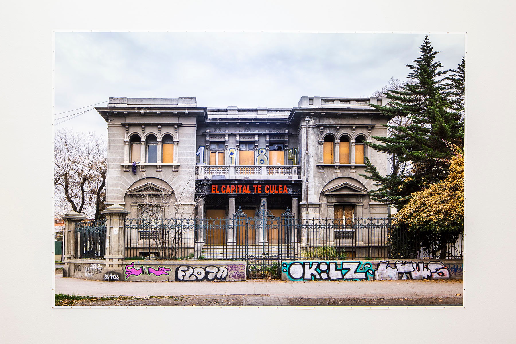 La carne muerta nunca se abriga Teresa Margolles