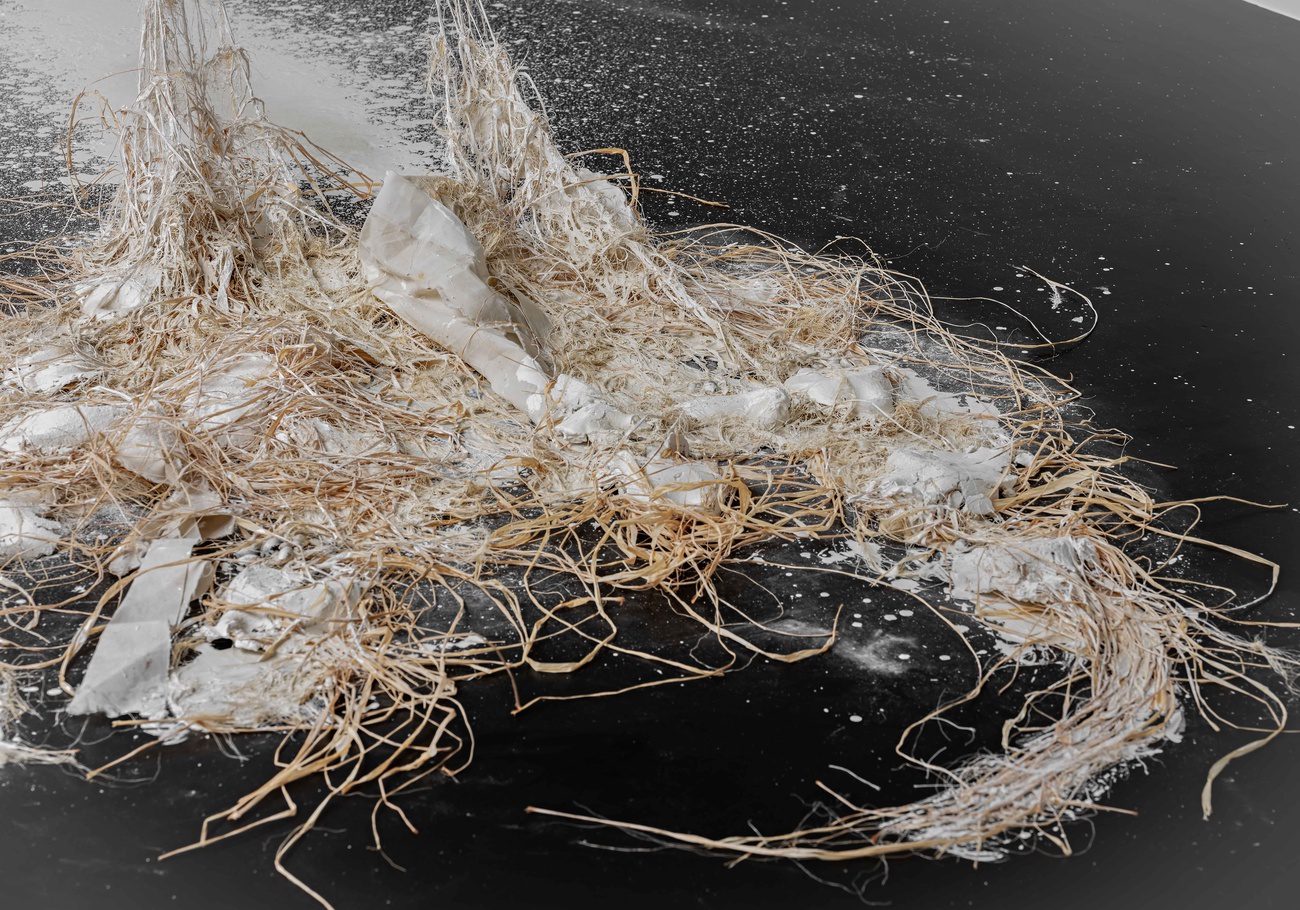 Dominique White: When Disaster Strikes