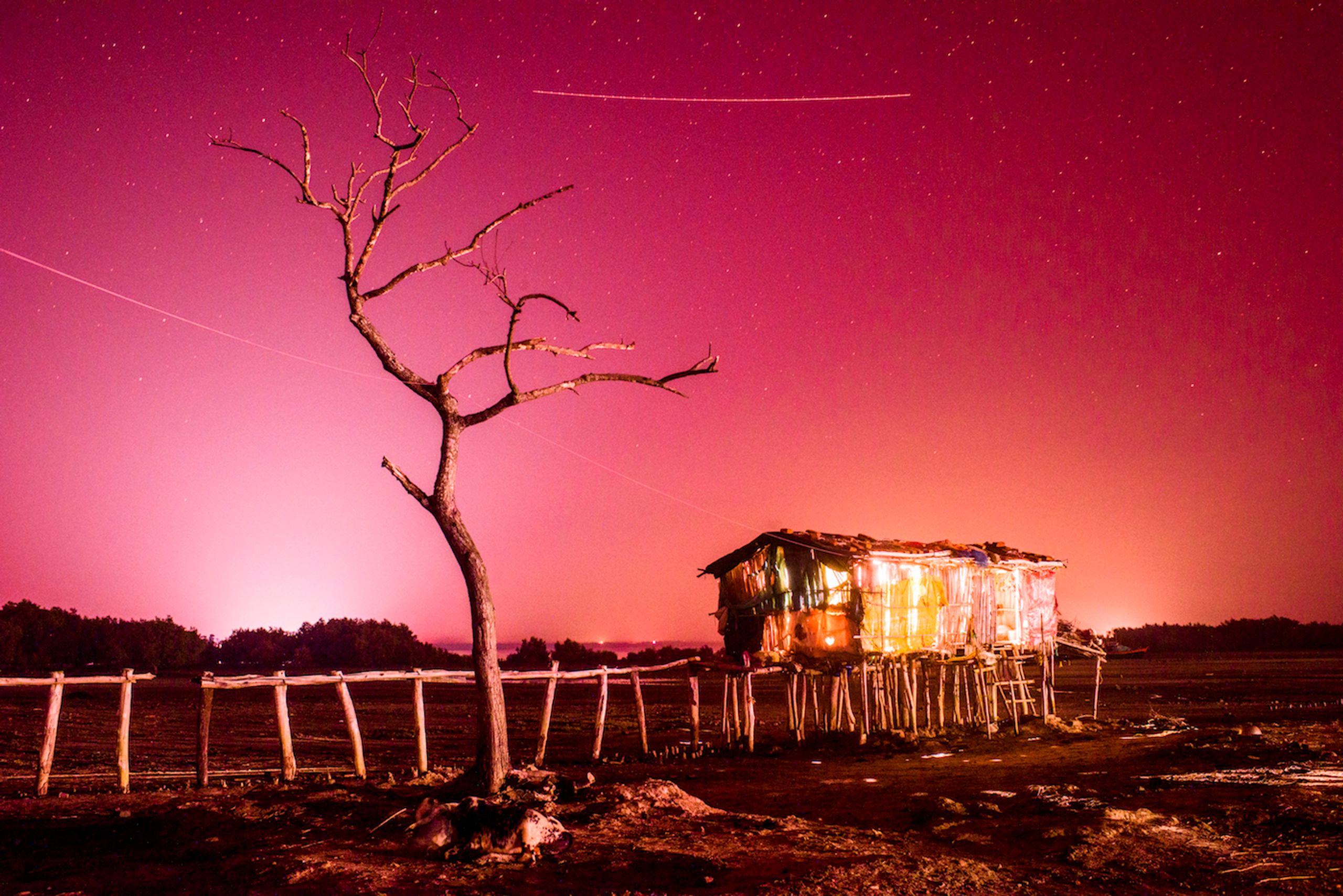 Shunyo Raja (Kings of a Bereft Land) Arko Datto, Terra Mutata, 2019 Photograph Goethe-Institut: Take Me to the River © Arko Datto 2019