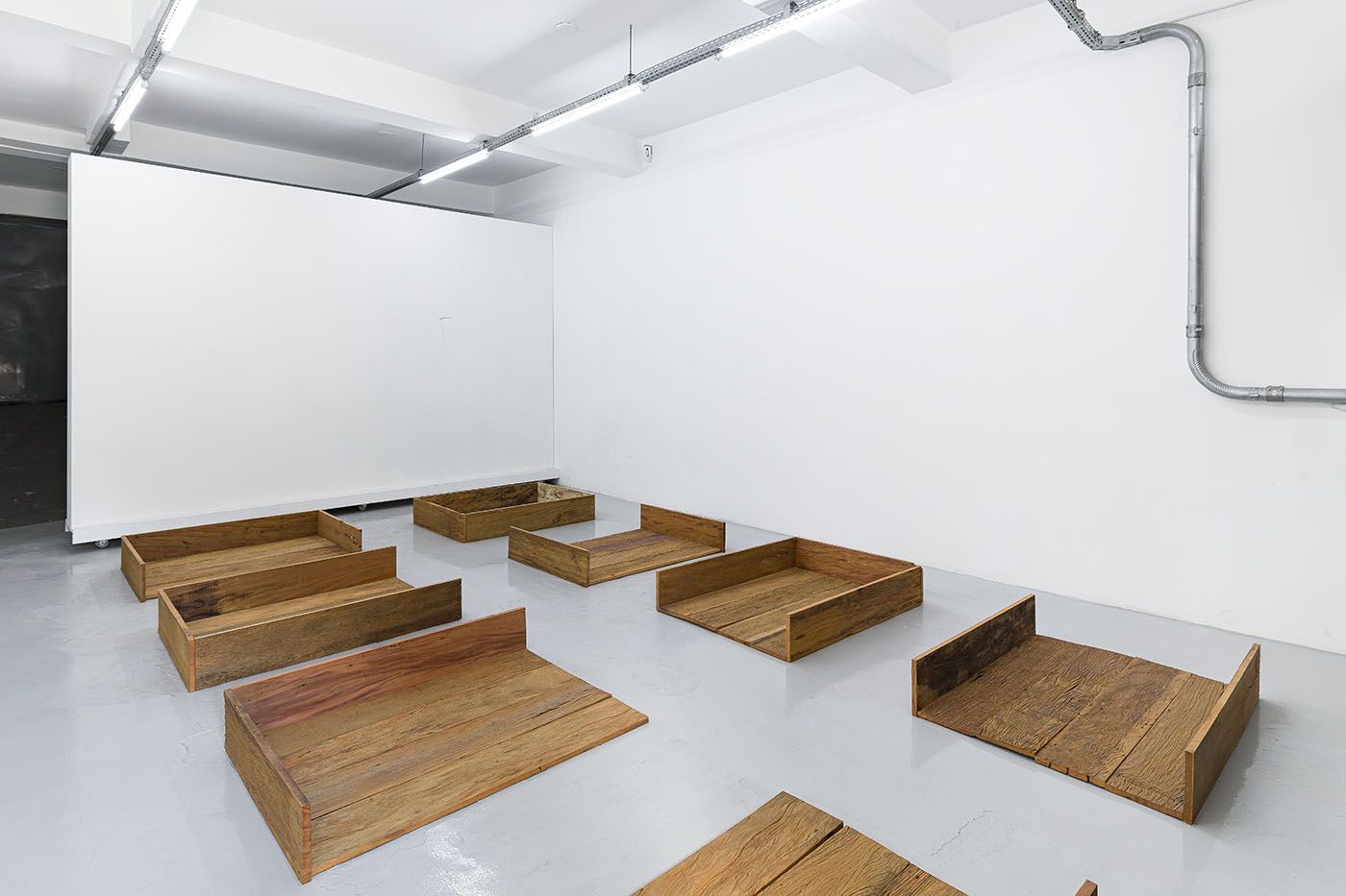 Wisrah C. V. da R. Celestino