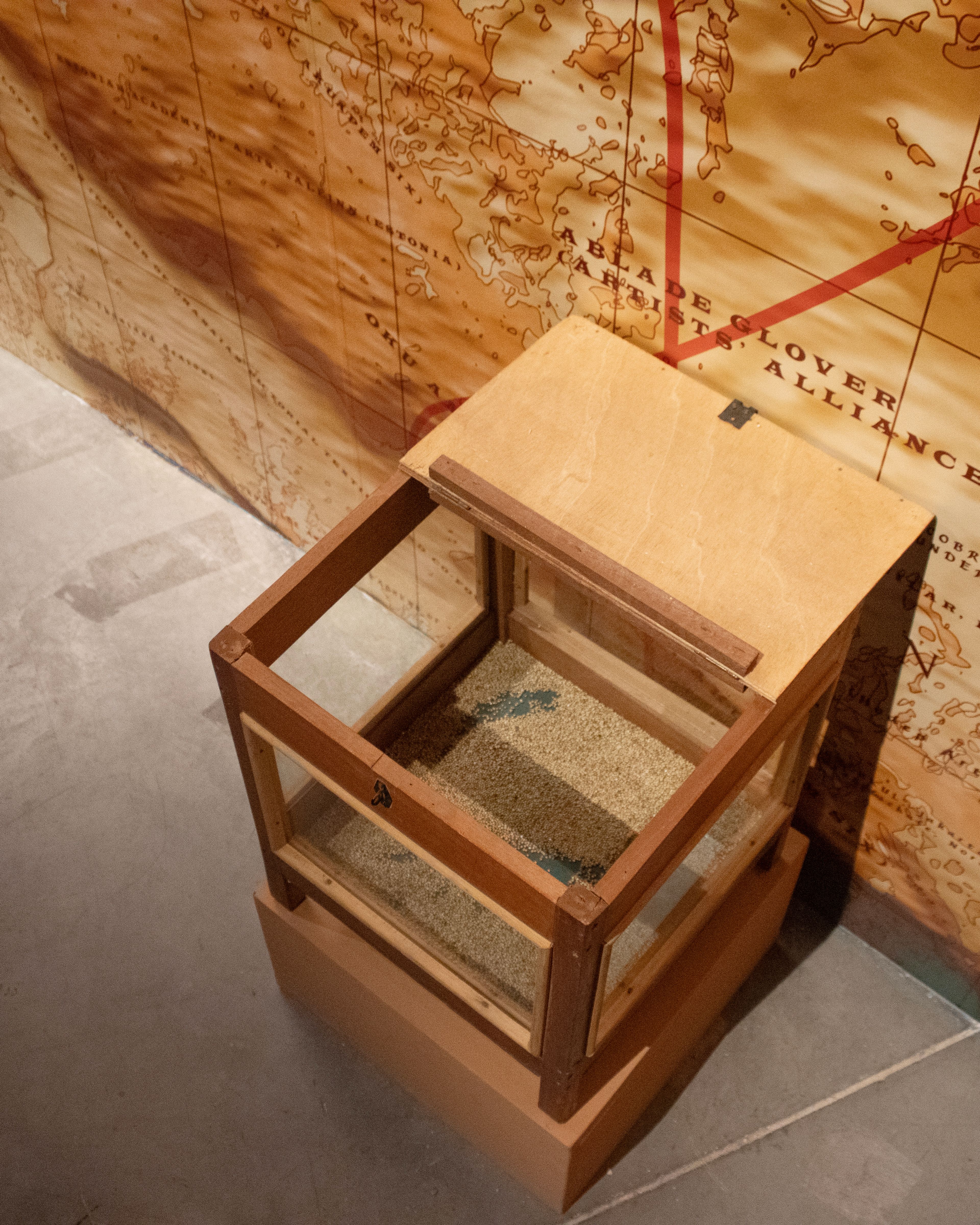 A wooden and glass display case filled with sand sits on a pedestal in front of a large, antique-style map wall with red lines.