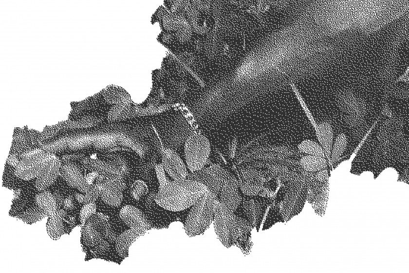 Adji Dieye: Culture Lost and Learned by Heart