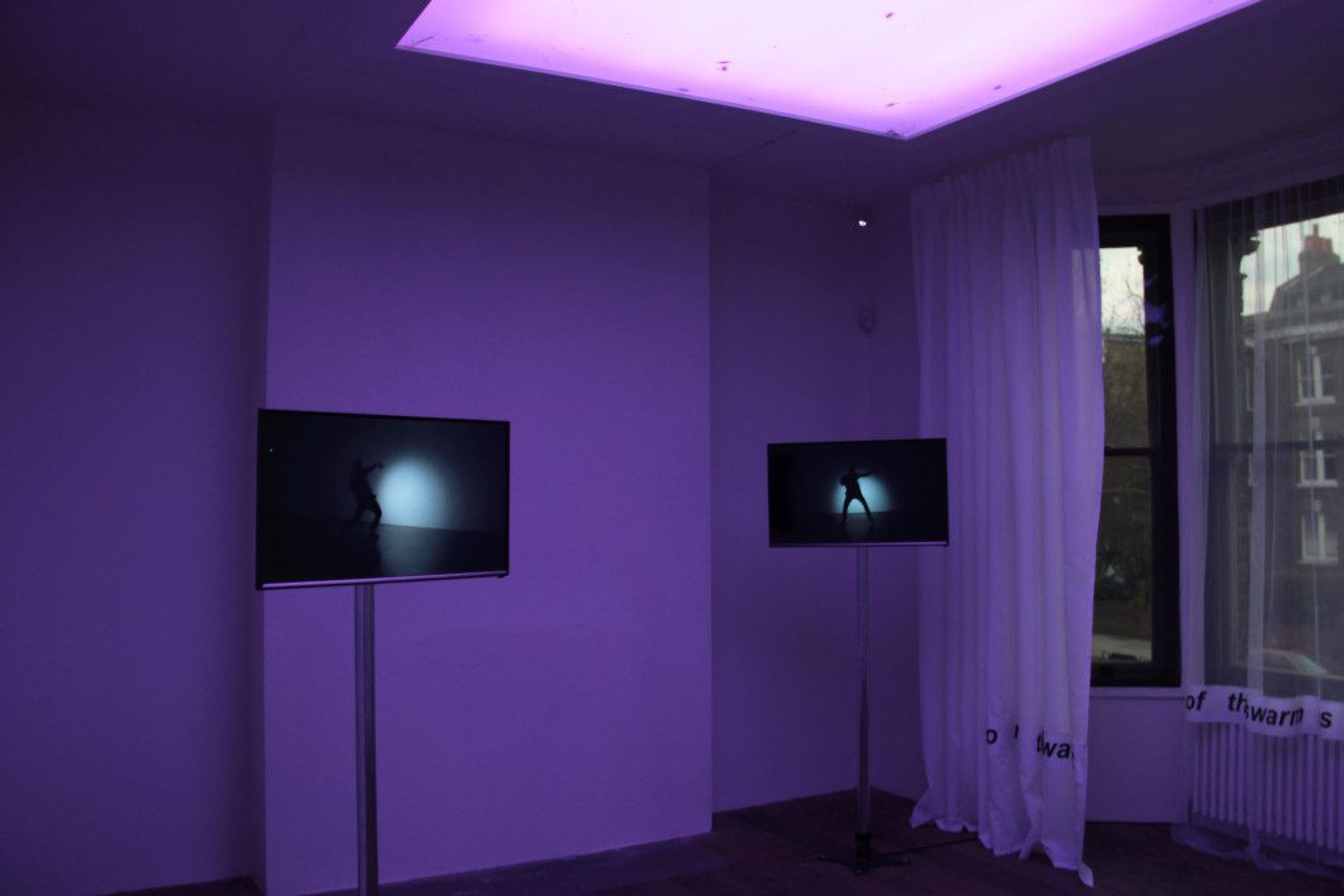 'I lost track of the swarm' by Paul Maheke - Contemporary And