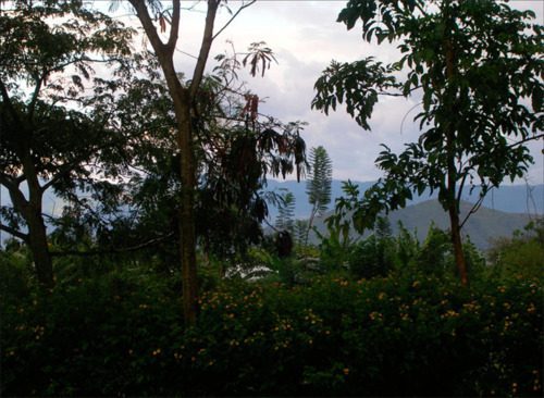 Emma Wolukau-Wanambwa : “A lot has changed in the four years since I started visiting Kampala” - Contemporary And