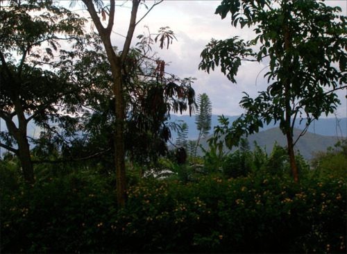 Emma Wolukau-Wanambwa : “A lot has changed in the four years since I started visiting Kampala” - Contemporary And