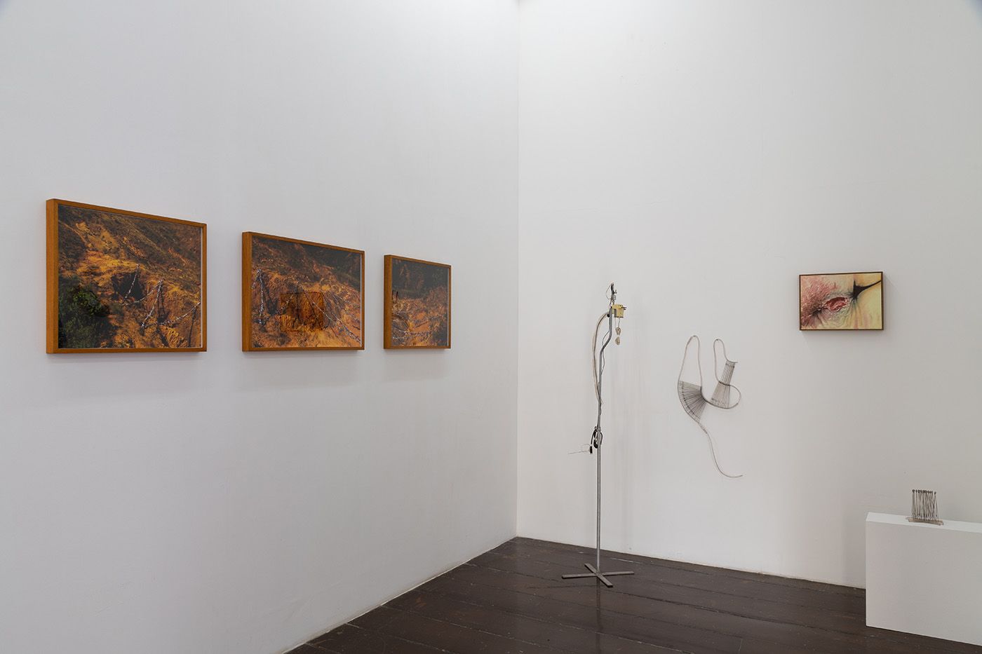Installation view, Abre Alas (clear the way), 2024. Photo: A Gentil Carioca/Pedro Agilson.