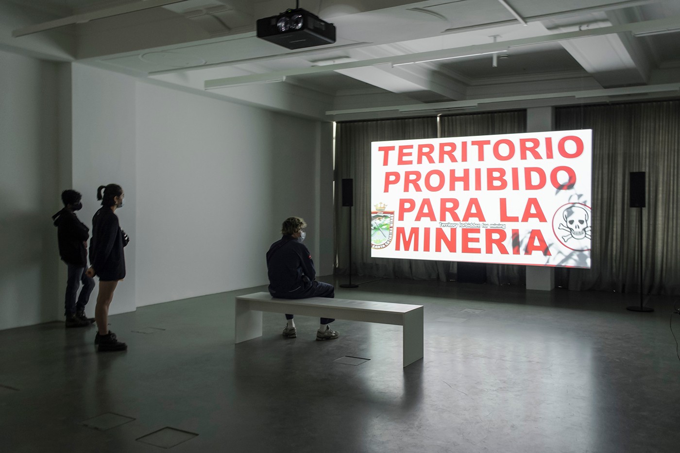 11th Berlin Biennale, Naomi Rincón Gallardo, Resiliencia Tlacuache (Opossum Resilience), video, 2019. daadgalerie Berlin.