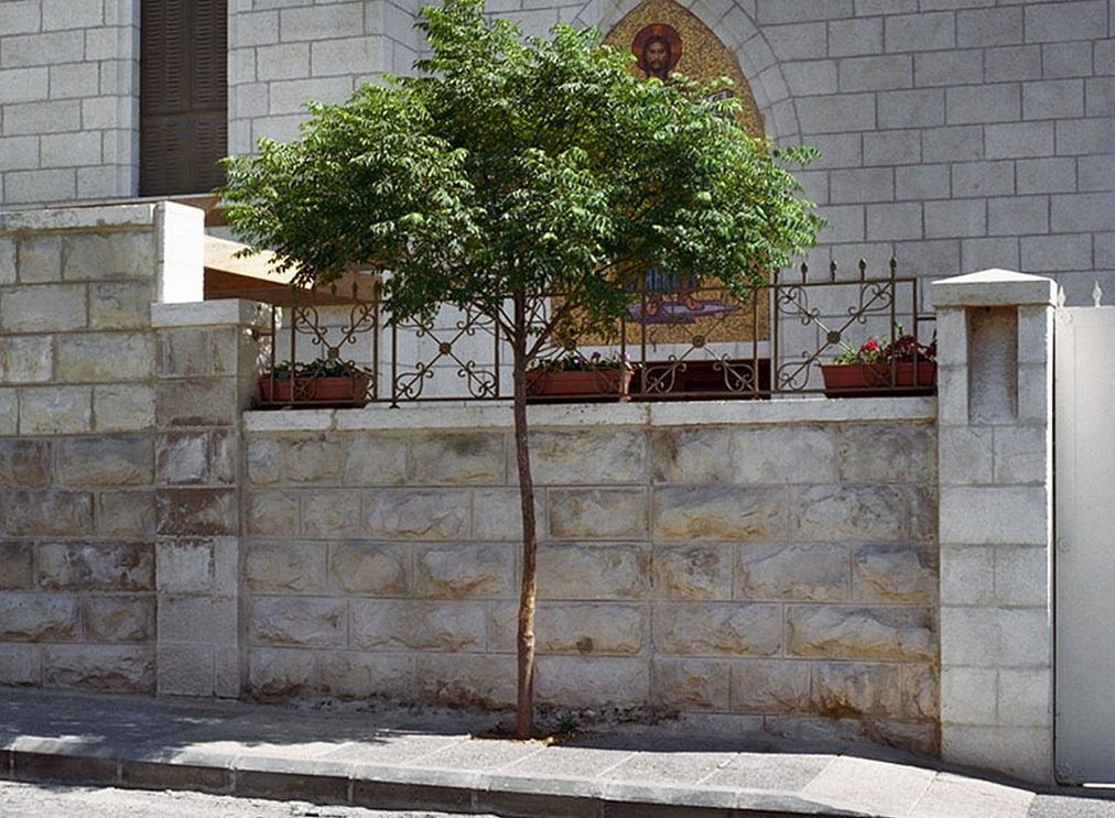 "The precarity of artistic labour induces a certain schizophrenia." - Contemporary And