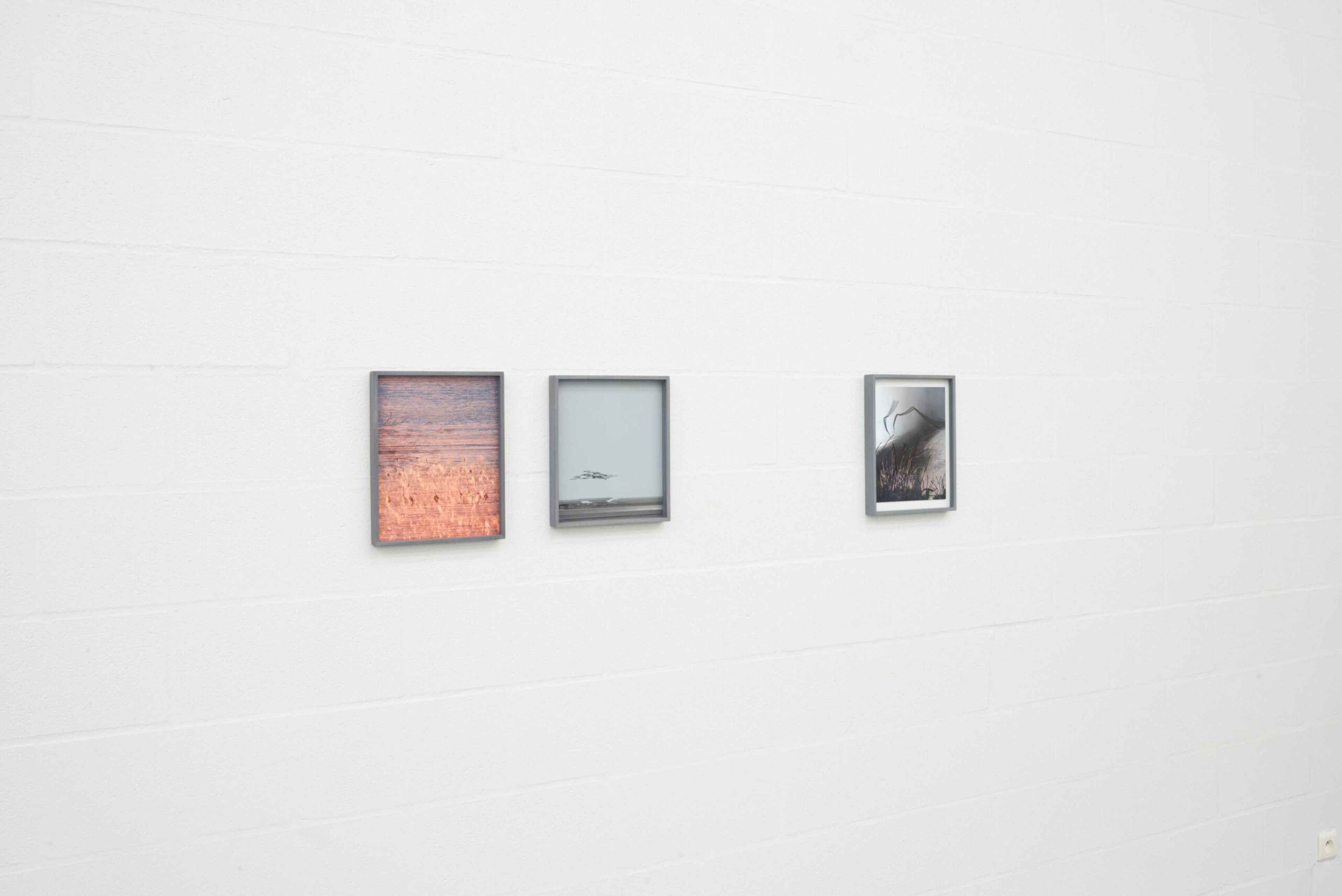 Through the Lens – Group Show
