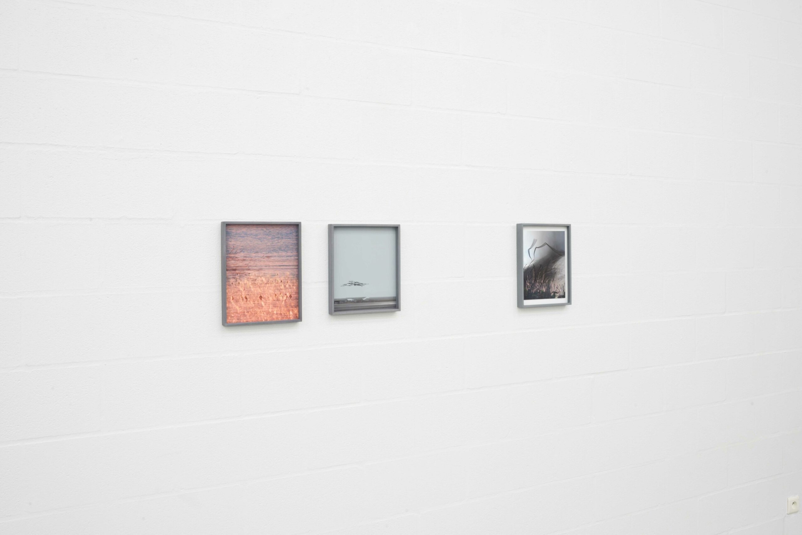 Through the Lens – Group Show