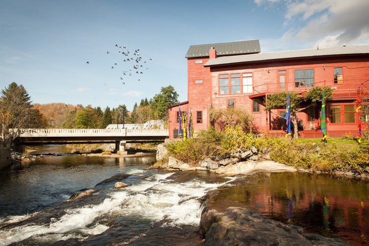 Displaced Artists Fund