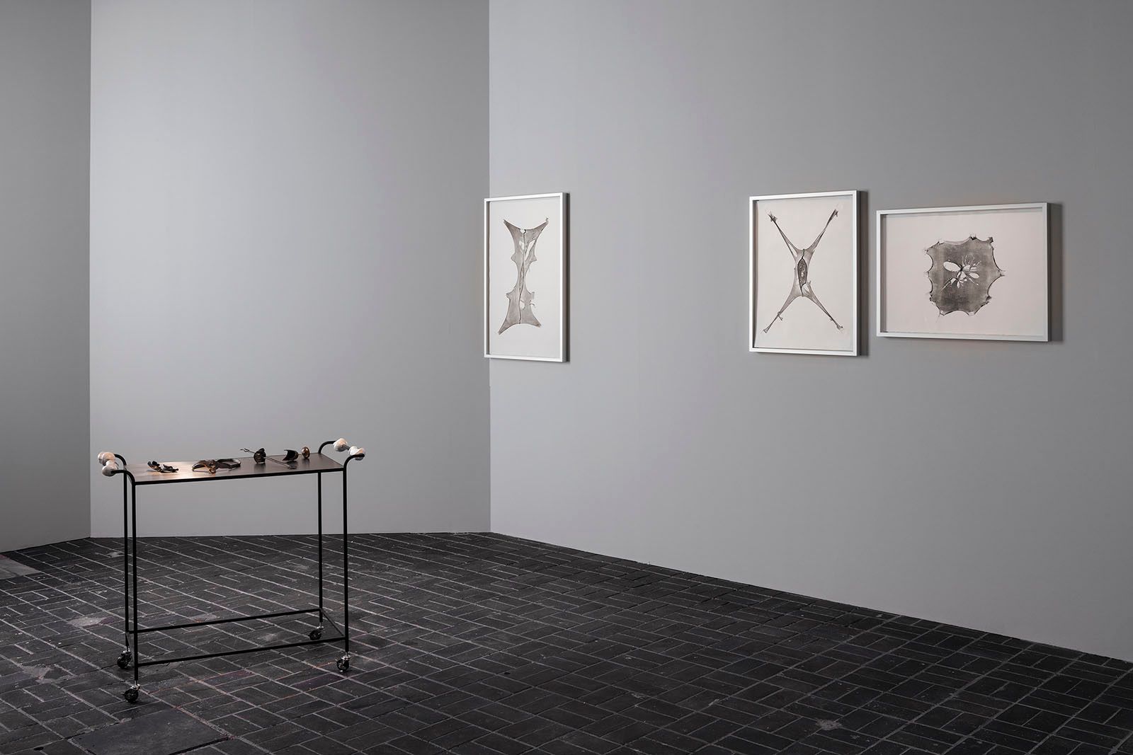 Telling Stories that Haven’t Been Told