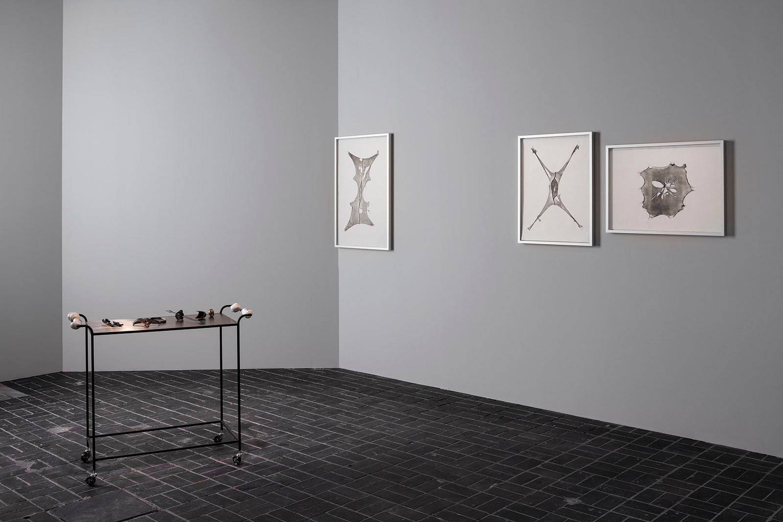 Telling Stories that Haven’t Been Told