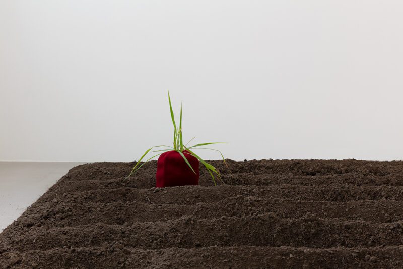 Binta Diaw: Les tirés ailleurs