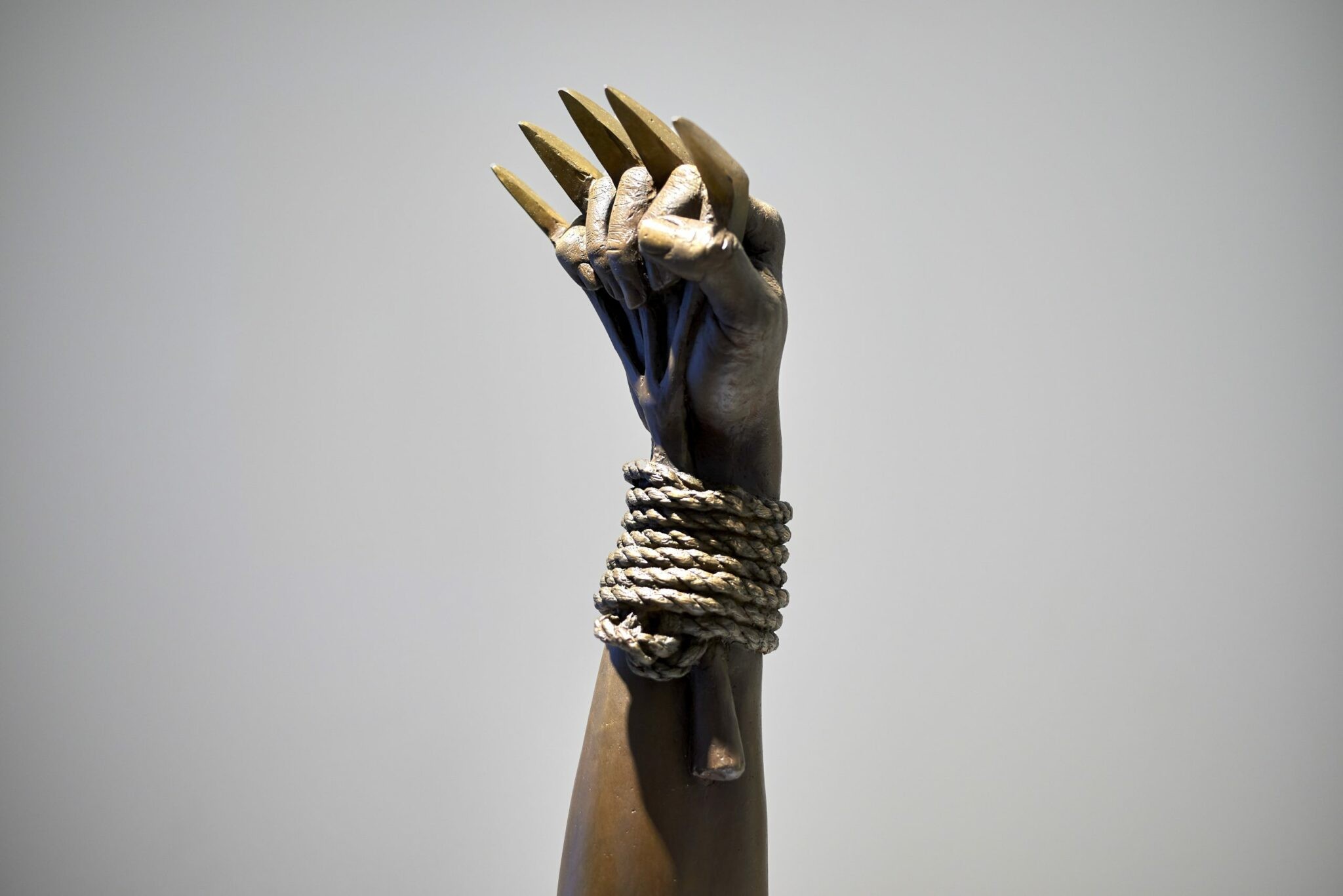 Ancestral: Afro-Américas