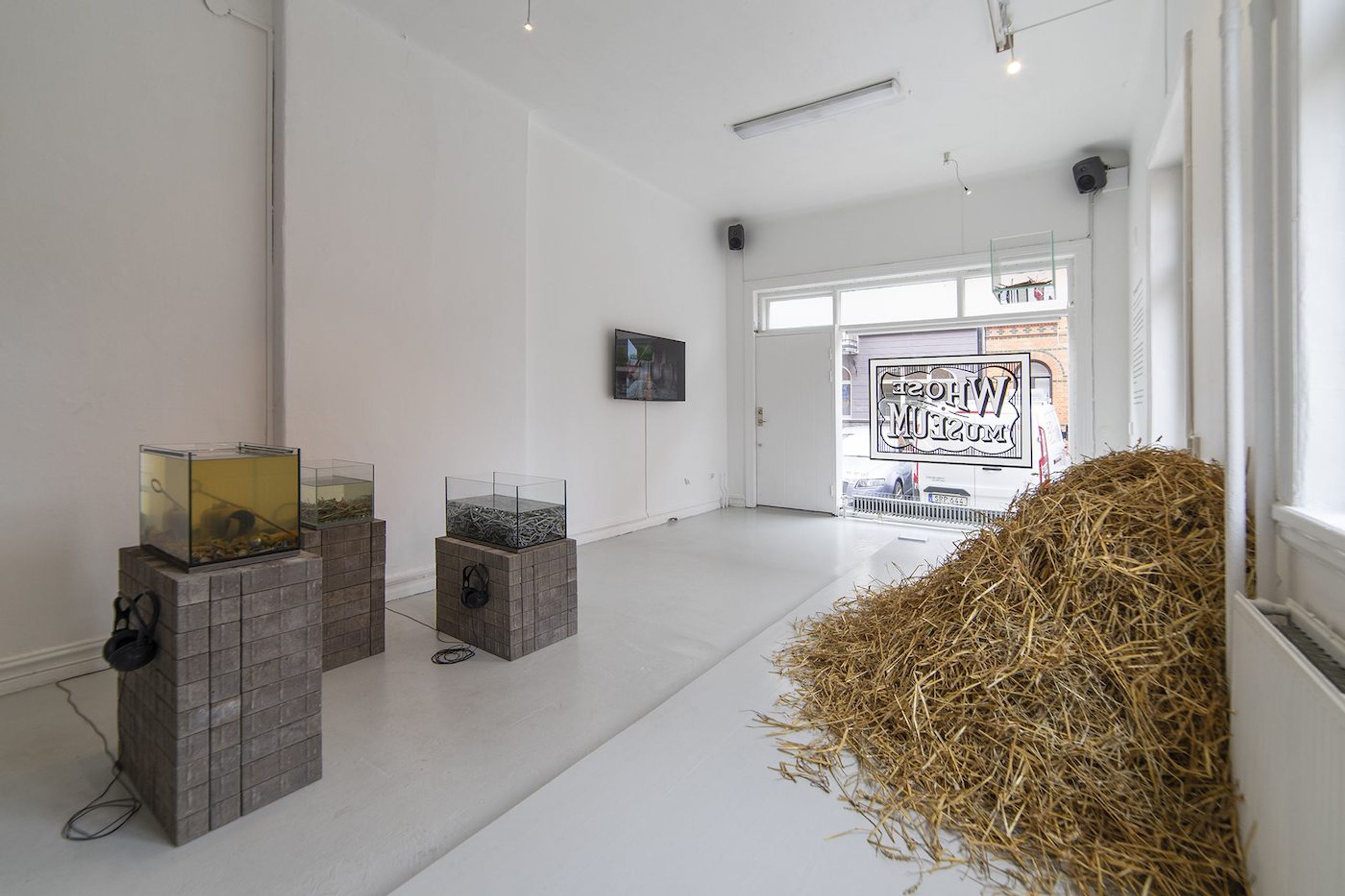 Installation documentation. Photo by Lena Bergendahl.