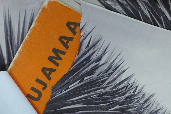 Kapwani Kiwanga: Ujamaa