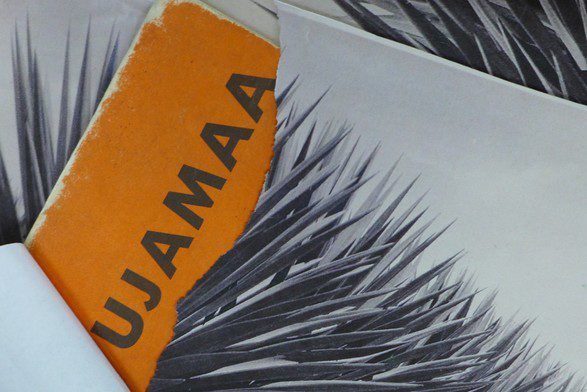 Kapwani Kiwanga: Ujamaa