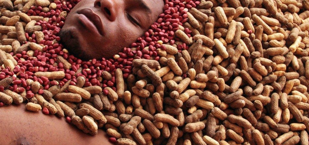 Minha Terra tem Palmeiras