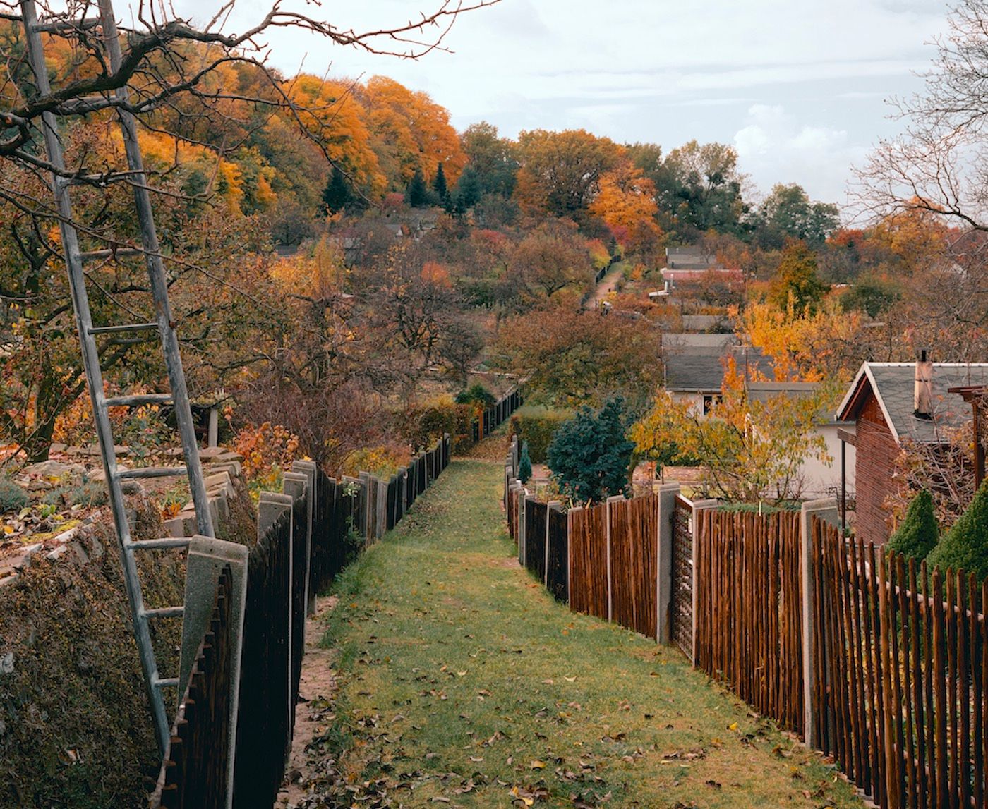 STAN DOUGLAS, PATH THROUGH “BERGAUF”, AM PFINGSTBERG, PFINGSTBERG, 1994/95, FROM THE SERIES POTSDAMER SCHREBERGÄRTEN, 15 PARTS. HASSO PLATTNER COLLECTION, © STAN DOUGLAS, COURTESY THE ARTIST, VICTORIA MIRO AND DAVID ZWIRNER