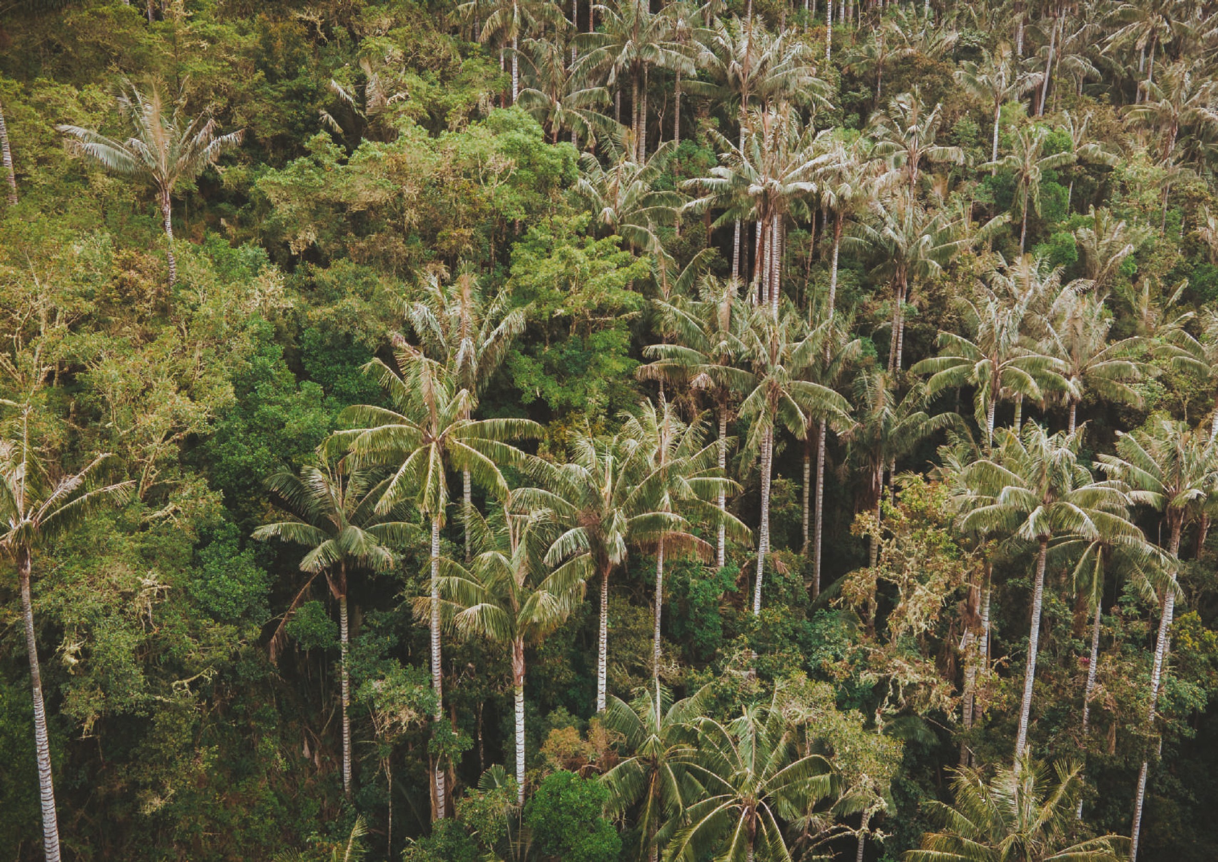 #weavingnetworks with Más Arte Más Accíon