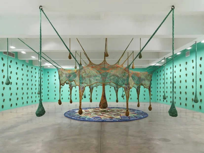 Ernesto Neto: Between Earth and Sky