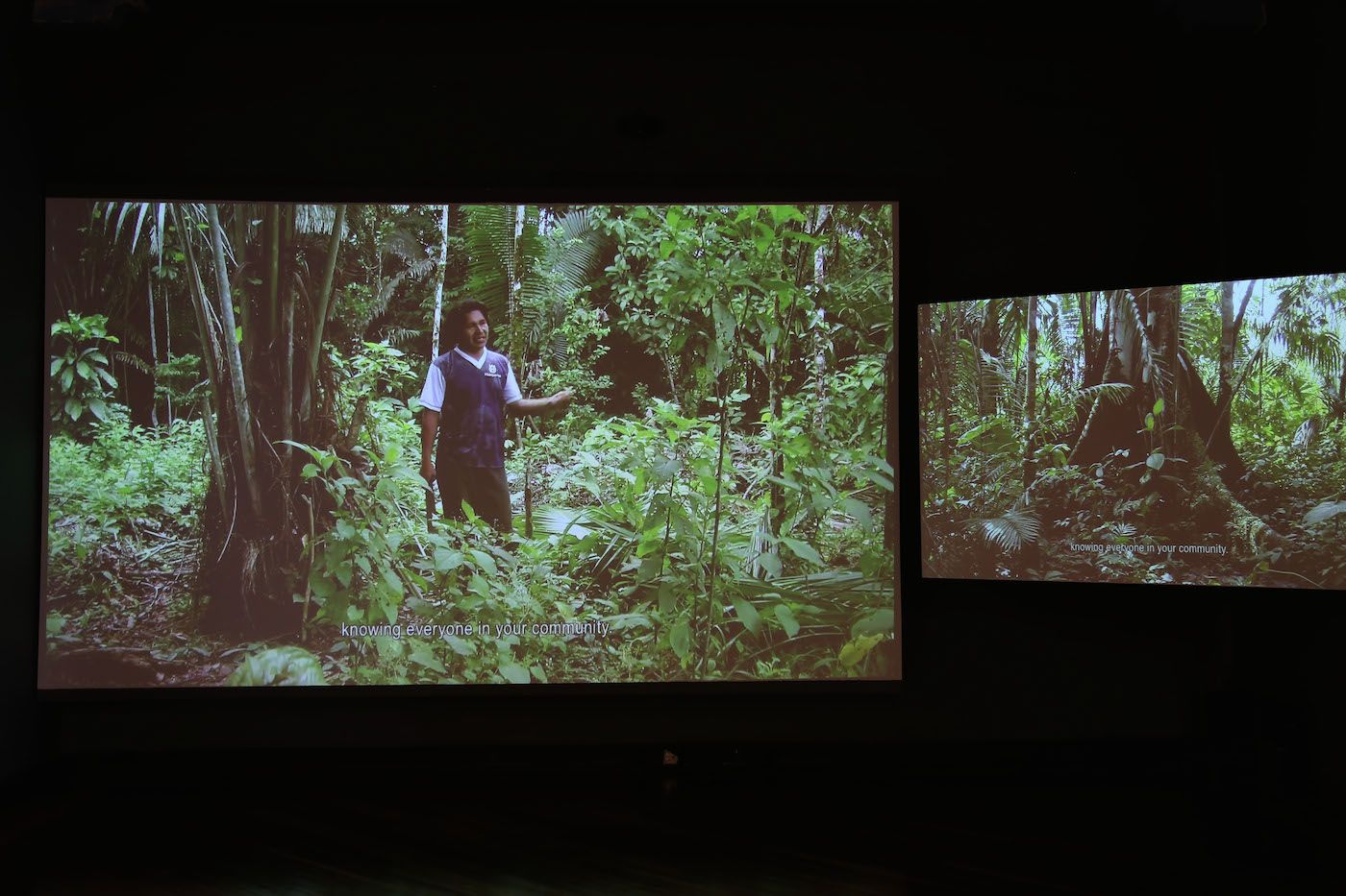 Ursula Biemann and Pablo Tavares, Forest Law, 2014. Video. Commissioned by the Ely and Edythe Broad Museum, Michigan State University, with the support of The Swiss Arts Council, Pro Helvetia and the Art Museum of the National University of Colombia. Photo: Ana Luisa González.