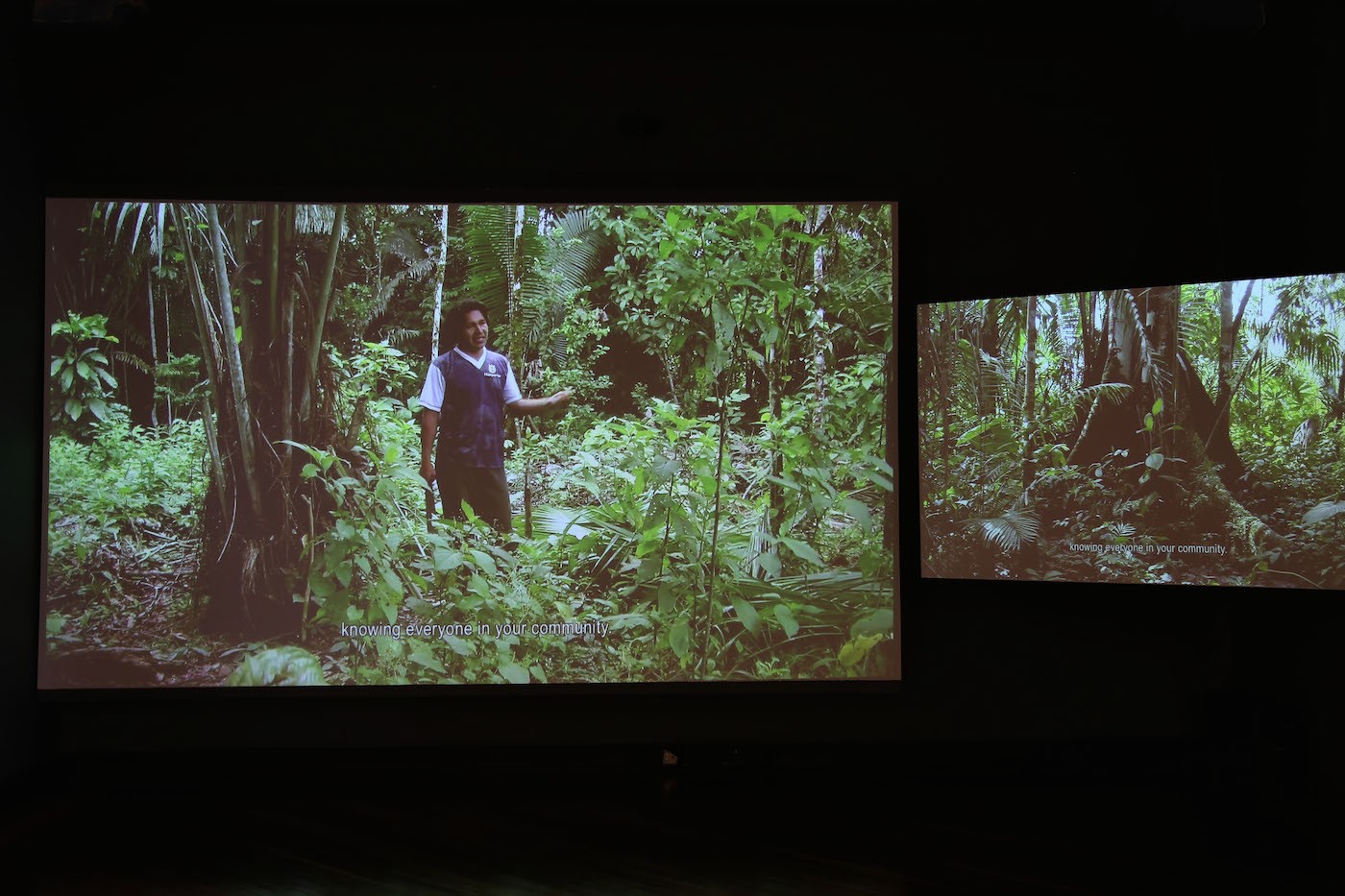 Ursula Biemann and Pablo Tavares, Forest Law, 2014. Video. Commissioned by the Ely and Edythe Broad Museum, Michigan State University, with the support of The Swiss Arts Council, Pro Helvetia and the Art Museum of the National University of Colombia. Photo: Ana Luisa González.