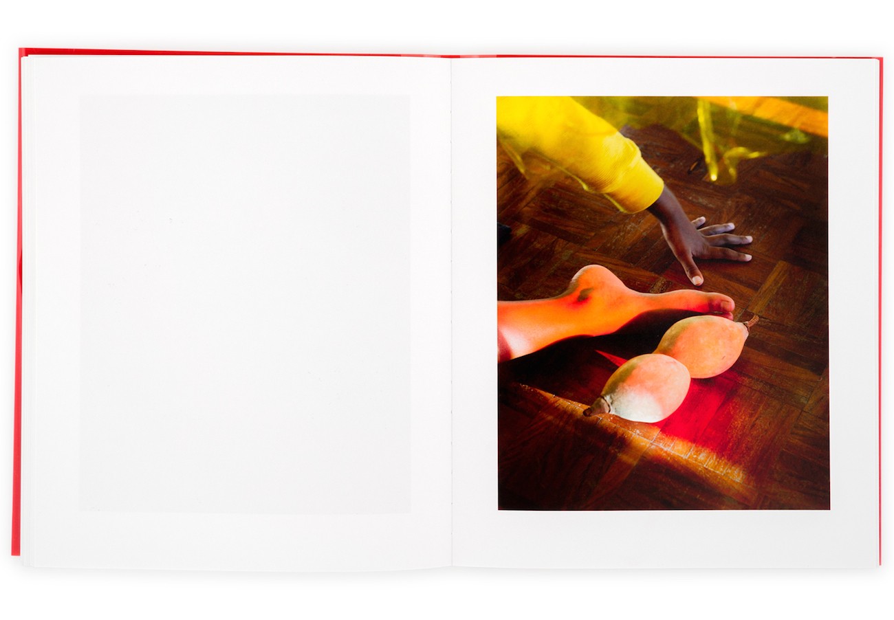 Juan Orrantia, Like Stains of Red Dirt, Dalpine 2020. Courtesy of the artist.