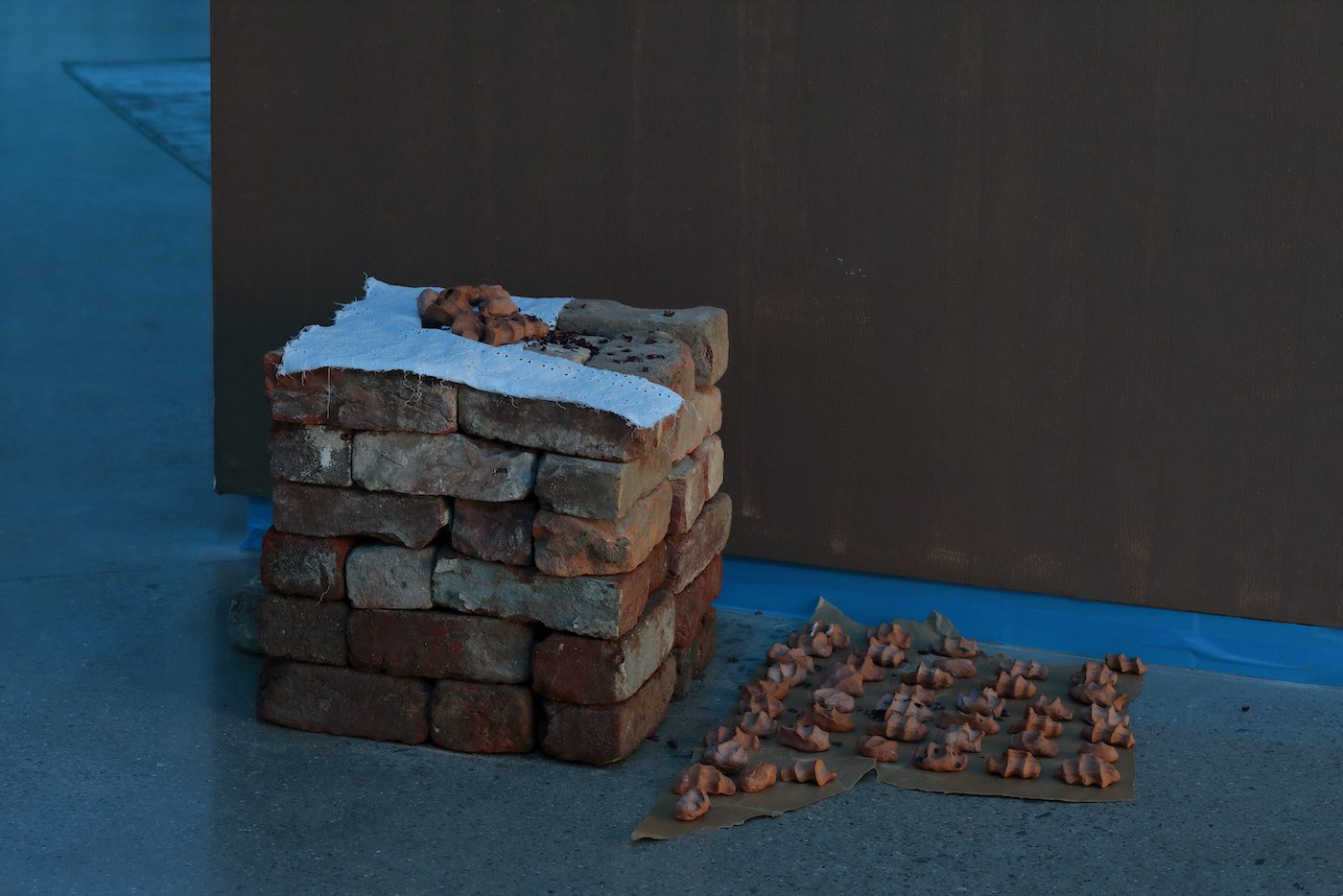 Dineo Seshee Bopape, Installation view. Courtesy of the artist and the Institute for Contemporary Art at VCU.