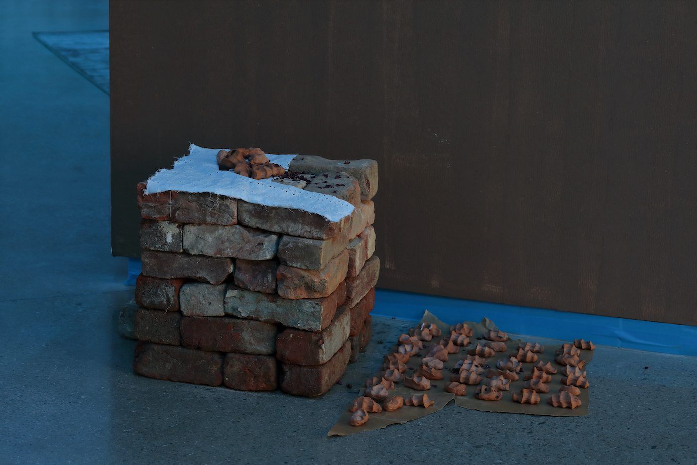 Dineo Seshee Bopape, Installation view. Courtesy of the artist and the Institute for Contemporary Art at VCU.