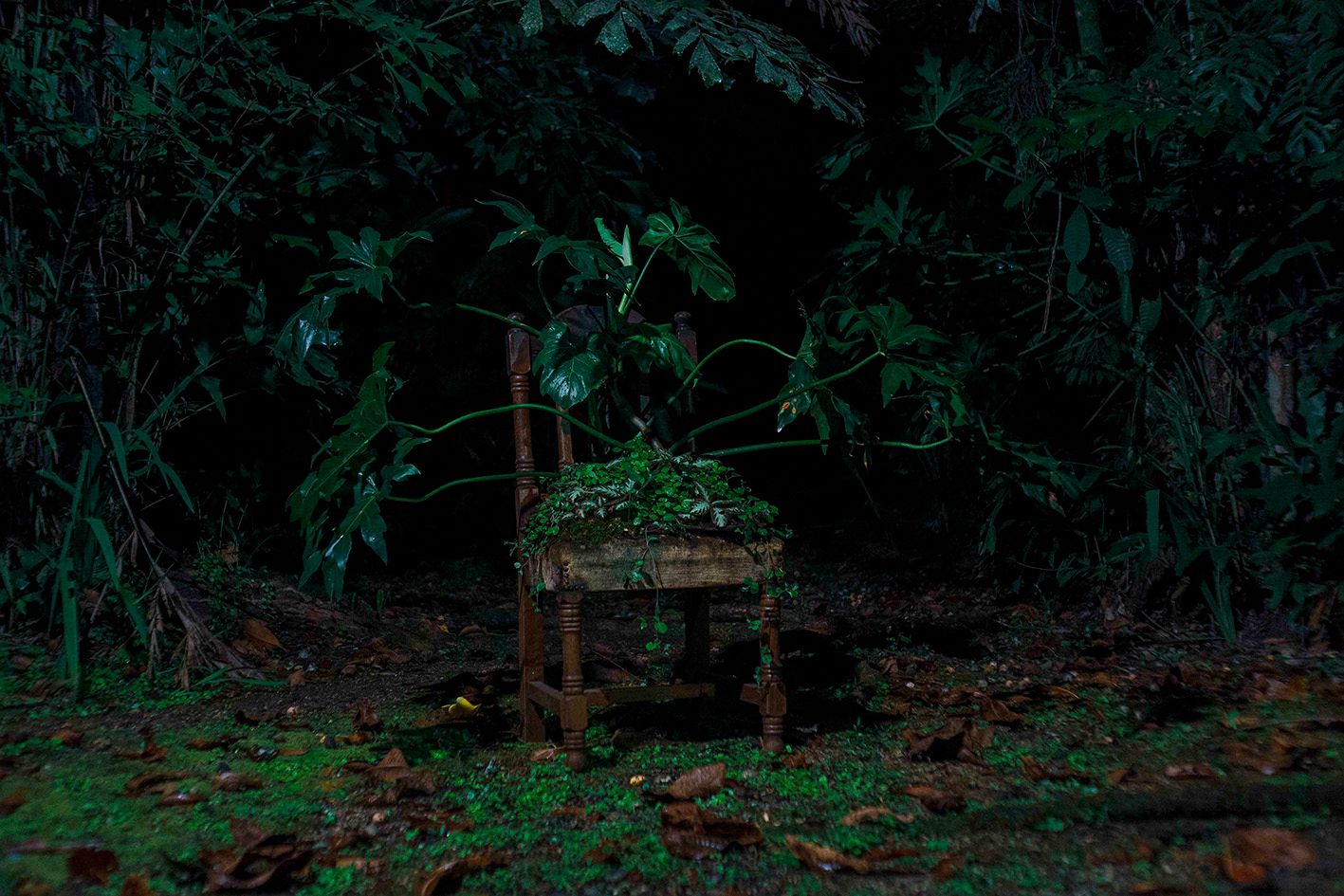 Resiliencia Pandémica