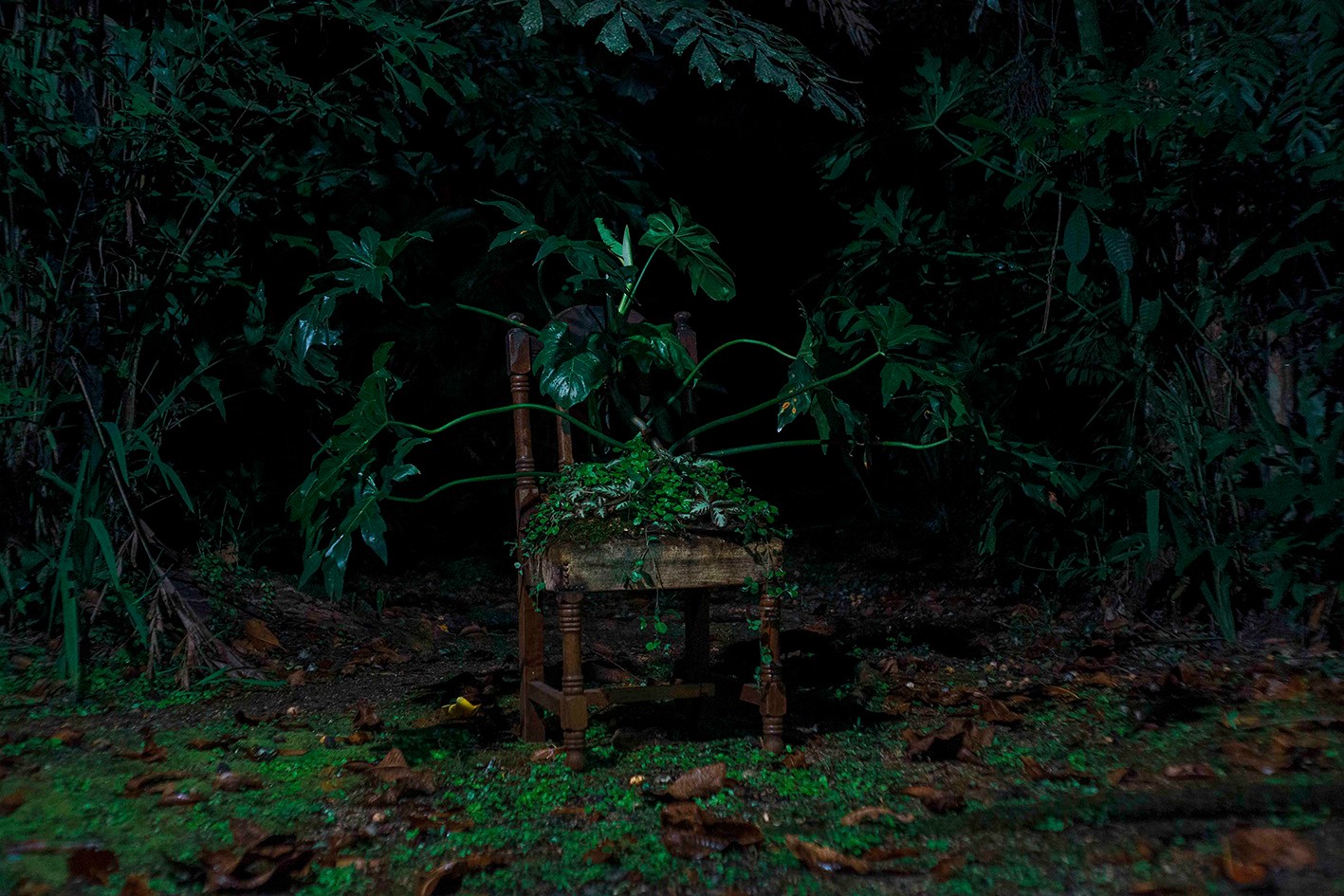 Resiliencia Pandémica