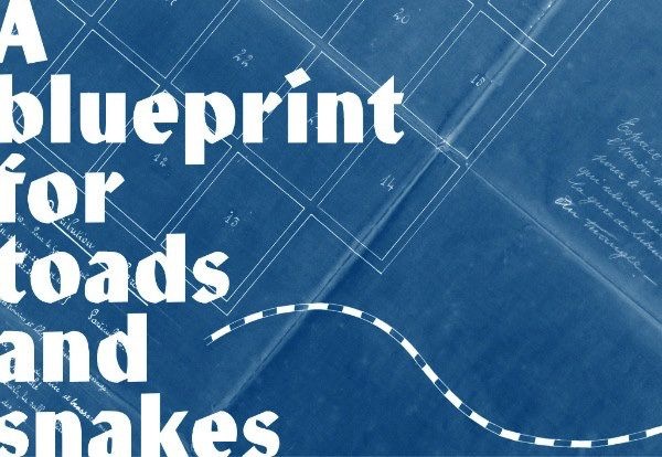 Sammy Baloji: A Blueprint for Toads and Snakes